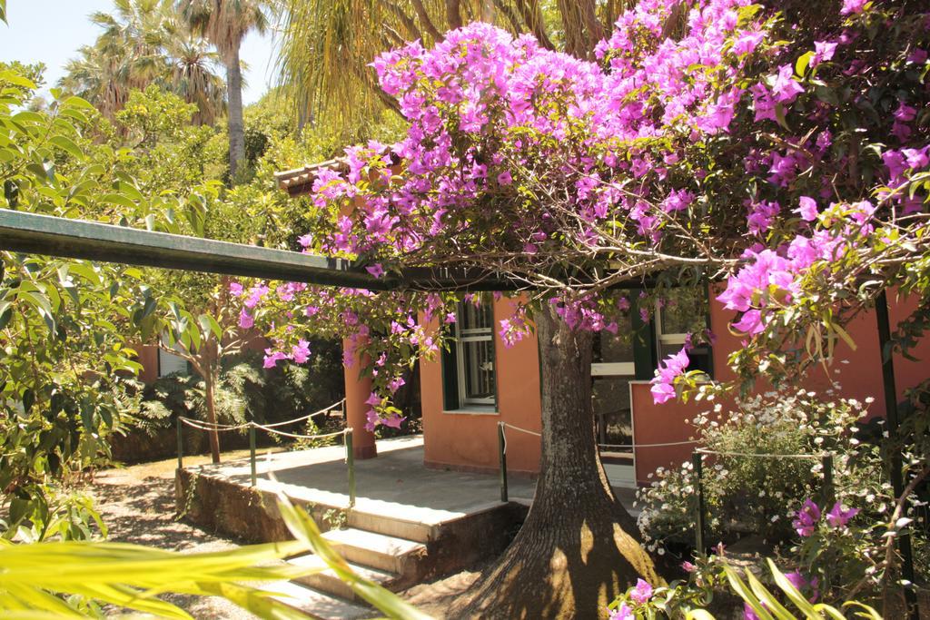 Le Palme Garden Villa Porto San Giorgio Exterior photo